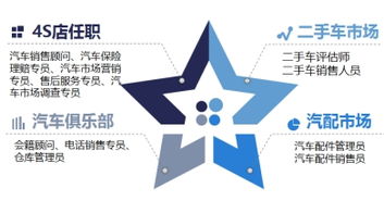 汽车营销与服务专业 技术开发方向