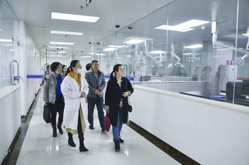 审计署长沙特派办积极关注高新技术服务等重大建设项目进展情况