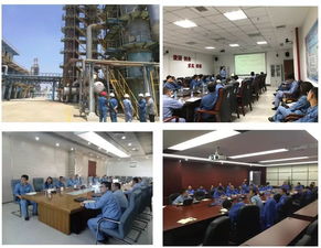 流程工业全周期能量优化技术服务 关键技术开发与应用