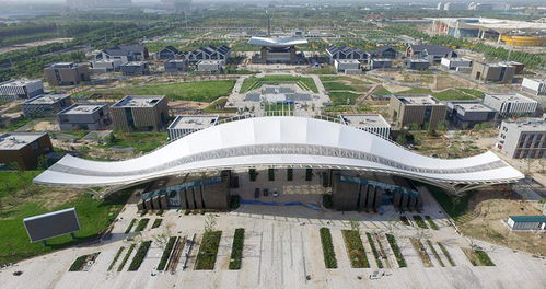 上海CAD二次开发公司盘点与技术咨询指南